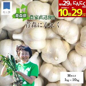 y29SiΏہIő29%OFF|Cg10{zɂɂ X 1kg`10kg MTCY 1L20 jjN Yn _ƒ jjN Y X ɂɂ nzCg  N C ɂɂ