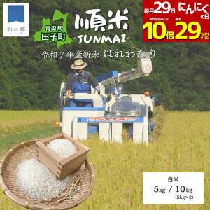 y29SiΏہIő29%OFF&|Cg10{z9oח\ V ߘa7NY  5kg 10kgi5kg×2jXY cqY ͂킽 Yn Sꗥ X Vuh A   č