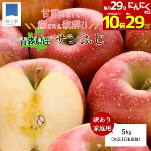 【29日全品対象!最大29%OFF&ポイント10倍】2025年摘みたて 12月出荷 青森 りんご 訳あり サンふじ 家庭用 5kg 大玉 10玉前後 採れたて 送料無料 甘酸っぱい 歯ごたえ抜群 旬 新鮮 青森県産 リン