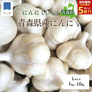 y30Si|Cg5{zoׂ܂1O ɂɂ X 1kg`10kg LTCY 1L15 jjN Yn _ƒ jjN Y X ɂɂ nzCg  N C ɂ