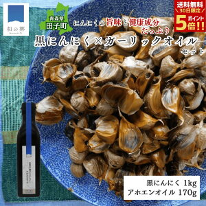 y30Si|Cg5{zK[bNIC 170g X cq ɂɂ 1kg  AzGIC cq ɂɂ I[uIC cqY jjN Â  ۑ h _h~ 