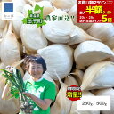 【全品対象最大半額クーポン！26日1:59まで】7月末よりご予約順に出荷 新にんにく 青森 田子 にんにく バラ250g / 500g【+増量】小粒 1000円ポッキリ 送料無料 新ニンニク 田子にんにく 健康 元気 バラにんにく 便利 甘い たっこにんにく ニンニク