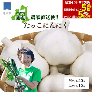 �S�i�Ώۃ|�C���g5�{&�ő�5%OFF�N�[�|��15��23:59�܂Ł��_�ƒ��� �X �c�q �ɂ�ɂ� M20��/L15�� �c�q �j���j�N ���Y �c�q�ɂ�ɂ� �c�q�j���j�N �������ɂ�ɂ� �X �ɂ�ɂ� �Â� �������� ��