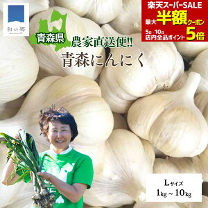 ő唼zN[|IX[p[SALE420X^[g20Oŏo ɂɂ X 1kg`10kg LTCY 1L15 jjN Yn _ƒ jjN Y X ɂɂ nzCg 