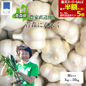 ő唼zN[|IX[p[SALE420X^[gɂɂ X 1kg`10kg MTCY 1L20 jjN Yn _ƒ jjN Y X ɂɂ nzCg  N C 