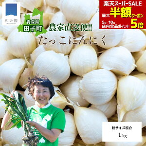 _ʌ^ő唼zN[|IX[p[SALE420X^[gX cq ɂɂ o 󂠂 1kg TCY 1L Yn 2025N jjN cqɂɂ ɂɂ Ɖu N 