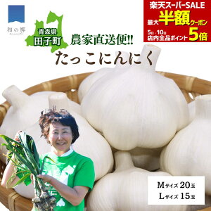 ő唼zN[|IX[p[SALE420X^[g_ƒ X cq ɂɂ M20/L15 cq jjN Y cqɂɂ cqjjN ɂɂ X ɂɂ Â  