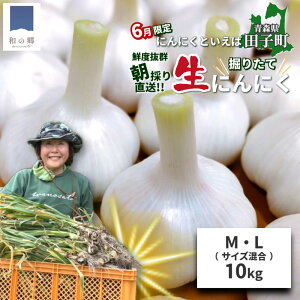 にんにく 10kgの人気商品・通販・価格比較 - 価格.com