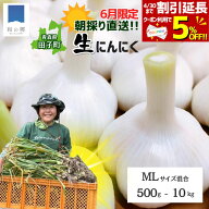 早割5%クーポン4/30まで【6月末出荷】生にんにく 農家直送 朝採り 掘りたて 青森 田子 にんにく たっこに…