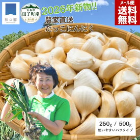 18日3000円で229円引き&P2倍！【2026年新物】青森県産 田子にんにく バラ 訳あり 選べる250g/500g たっこにんにく 国産 にんにく ニンニク 大蒜 農家直送 産地直送 メール便 送料無料