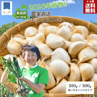 15日2個以上で5%OFF&P5倍！【2026年新物】青森県産 田子にんにく バラ 訳あり 選べる250g/500g たっこに…