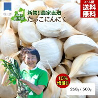 【予約限定10%増量！7月末出荷】2026年 新にんにく たっこにんにく 青森 田子町産 250g 500g 国産 バラに…