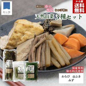 【24日4時間限定!2000円以上で10%OFFクーポン】山菜 水煮 3種セット 秋田 国産 ふき わらび みず 国産山菜 秋田県産 天然 天然山菜 山菜水煮 山ふき ワラビ 蕨 ミズ ウワバミソウ 保存料不使用