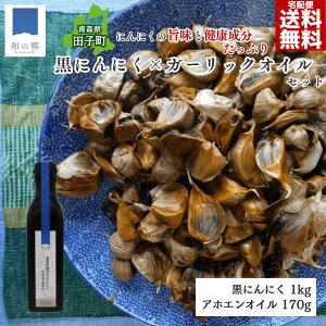 y1SiΏہI2ȏŃ|Cgő20{229~zK[bNIC 170g X cq ɂɂ 1kg  AzGIC cq ɂɂ I[uIC cqY jjN Â 