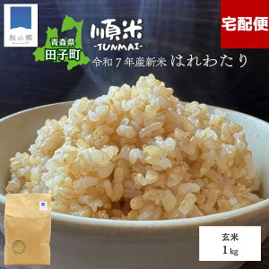 y1SiGg[2ȏŃ|Cgő20{229~zV ߘa7NY  1kg XY cqY ͂킽 Yn X Vuh A   cq _ƒ  Â 