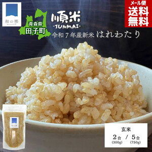 y1SiGg[2ȏŃ|Cgő20{229~zV ߘa7NY  2/5i300g/750gjXY cqY ͂킽 Yn [ lR|X Sꗥ X V