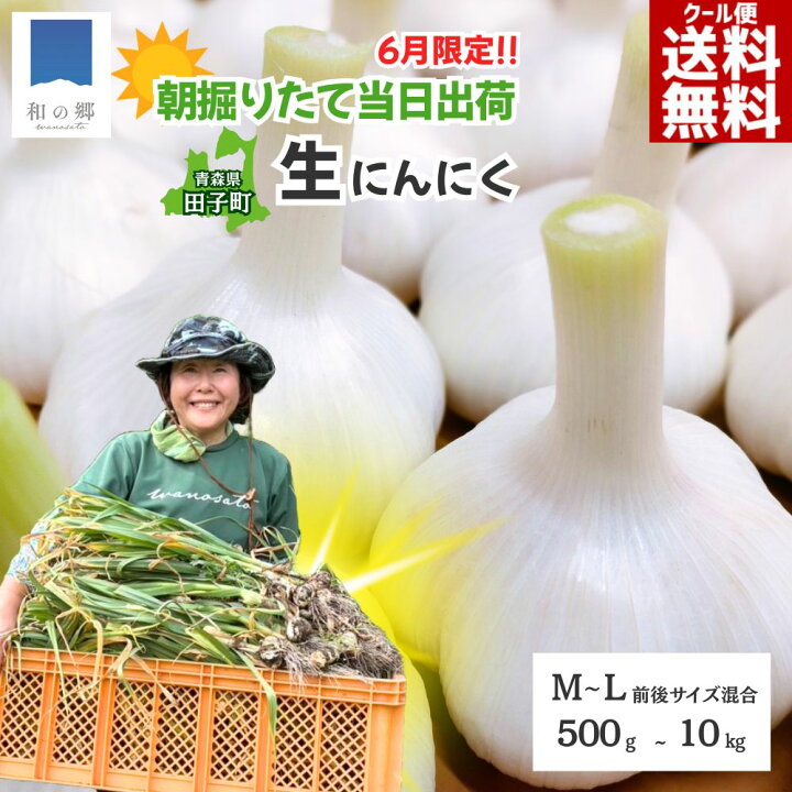 楽天市場】生にんにく たっこにんにく 新にんにく【6月末出荷予定】M 