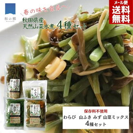 山菜 水煮 4種セット 秋田 国産 山菜ミックス ふき わらび みず 山ふき 国産山菜 秋田県産 天然 天然山菜 山菜水煮 保存料不使用 着色料不使用 山の幸 ポイント消化 買いまわり メール便 送料無料