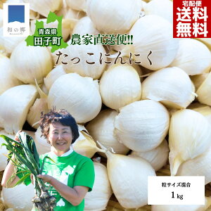 _ʌ^_tf[SiΏ2000~5%OFF&|Cg5{X cq ɂɂ o 󂠂 1kg TCY 1L Yn 2025N jjN cqɂɂ ɂɂ Ɖu N C