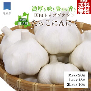 y1420`ő10%OFFN[|Iz_ƒ X cq ɂɂ M20/L15/2L10 cq jjN Y cqɂɂ cqjjN ɂɂ X ɂɂ Â  N Mtg 