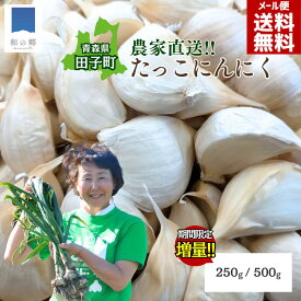 7月末よりご予約順に出荷 新にんにく 青森 田子 にんにく バラ250g / 500g【+増量】小粒 1000円ポッキリ 送料無料 新ニンニク 田子にんにく 健康 元気 バラにんにく 便利 甘い たっこにんにく ニンニク