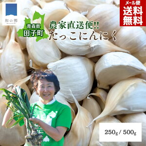 y1420`ő10%OFFN[|IzX cq ɂɂ o250g / 500g `TCY 1000~|bL  jjN cqɂɂ N C oɂɂ ֗ Â ɂɂ j