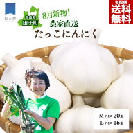 13日-16日全品5%OFFクーポン！【2026年新物】田子にんにく 選べるM/Lサイズ 青森県田子町産 地域ブランド…