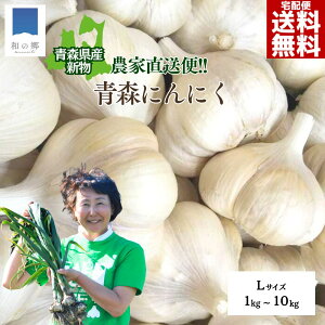 ySiő5%OFFN[|I}\91:59܂Łz15cƓOŏoח\ ɂɂ X 1kg`10kg LTCY 1L15 jjN Yn _ƒ jjN Y X ɂɂ nz