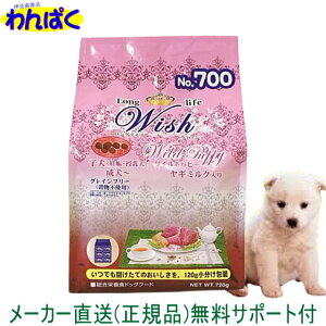 【クーポン有】 開けて楽しい小袋分包 Wish ウィッシュ 犬用 ワイルドパピー720g 送料込 猪肉 安全 無添加 ドックフード 食物アレルギー 皮膚 わんぱく ドライフード 他お試しフードサンプル