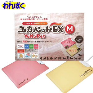 yN[|Lz LY JybgEXEMTCY ^p L  t[hTvL AS80