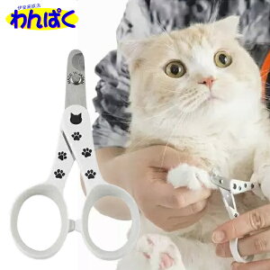 yN[|Lz L XgXȂXpbƐ؂Lp ܐ؂ {  ybgp p t[hTvL AME