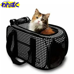 yN[|Lz L |[^uL[ hCu s ЊQ ً} hЃObY ܂肽 RpNg ybgp p t[hTvL AS80