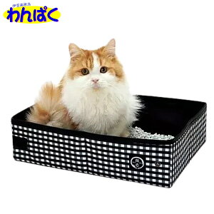 yN[|Lz L |[^ugC hCu s ЊQ ً} hЃObY ԗp ܂肽 RpNg ybgp p t[hTvL ALE