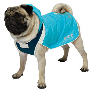 yN[|Lz hM[} X|[eB[CEFA (u[×lCr[)A[oX^C 4 WbNbZeA LoA ~j`AViEU[ pOȂǂ t[hT