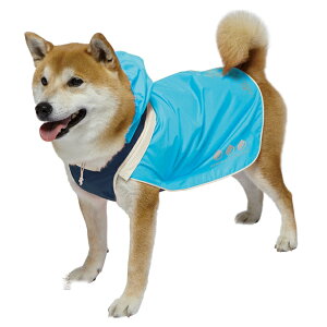 yN[|Lz hM[} X|[eB[CEFA (u[×lCr[)A[oX^C 5 ČAr[OAR[M[Ȃǂ t[hTvL AL0