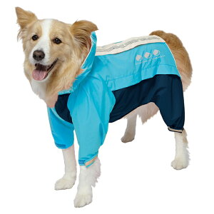 yN[|Lz hM[} X|[eB[CEFA (u[×lCr[)A[oX^C 6 {[_[R[A{NT[Ȃ t[hTvL AL0