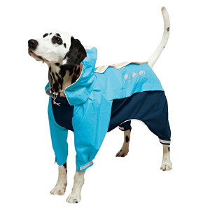 yN[|Lz hM[} X|[eB[CEFA (u[×lCr[)A[oX^C 7 uh[go[AACbVZb^[Ȃ t[hTvL AL0