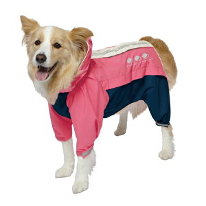 yN[|Lz hM[} X|[eB[CEFA (sN×lCr[)A[oX^C 6 {[_[R[A{NT[Ȃ t[hTvL AL0@4976555641967