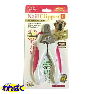 yN[|Lz lCNbp[L ^ ^p t@^W[[h ybgp ς t[hTvL AME