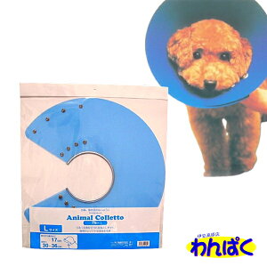 yN[|Lz 㐻 Aj}Rbg u[ L p GUxXJ[ K[h LYȂߖh~ ς t[hTvL AS80