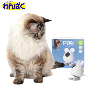 yN[|Lz Catit Pixi X}[g }EXJ  ͂Ȃ 360° J hƃJ X}z`FbN Cuf Be ^ oʘb 쌟m Î ԊOÎ iCg