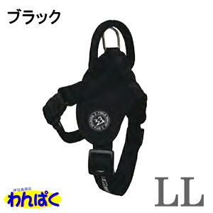 yN[|Lz Jm }CX^[vX tB[h}X^[ p n[lX Iׂ TCY J[ 4F U  qh~  X|[eB[ t[hTvL AME`ALE