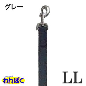 yN[|Lz Jm }CX^[vX BIGGY wbhC[h Iׂ TCY J[ 2F J[L / O[ ^ U  qh~  X|[eB[ t[hTvL AM