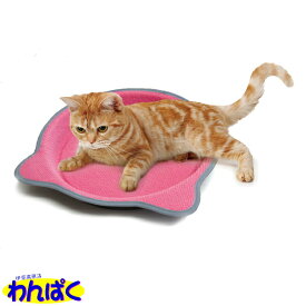 【月間優良ショップ8回受賞】【クーポン有】 マルカン ツメとぎトレイ 鍋型 猫用 ペット用 動物用 他お試しフードサンプル有 A100-10