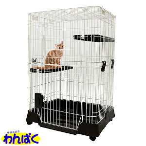 yN[|Lz }J LeBP[W 1000 uE ܂肽 RpNg LX^[t [^ Eh~ ȒP  LbgnEX ybgnEX   Lp ybgp 