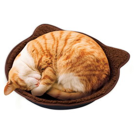 【クーポン有】 マルカン もこもこ鍋型ベッド ブラウン 猫用 送料無 他お試しフードサンプル有 AS100
