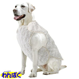 yN[|Lz }J ~Mѕz L ^p h ΍ ~p  ӂӂ ʂʂ  ybgp ʂ̓}CNt@Co[tl p ς DA-362 4906456577225