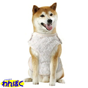 yN[|Lz }J ~Mѕz M ^p h ΍ ~p  ӂӂ ʂʂ  ybgp ʂ̓}CNt@Co[tl p ς DA-361 