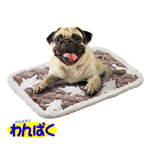 yN[|Lz }J H~xbhE}bg ǂ邵낭܂̂ӂ퉷M}bgS ₷  CeA h ΍ ~p  ӂӂ ʂʂ  ^p 