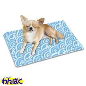 【クーポン有】 マルカン 涼感アルミジェルマットM 犬用 猫用 ペット用 動物用 他お試しフードサンプル有 ALE